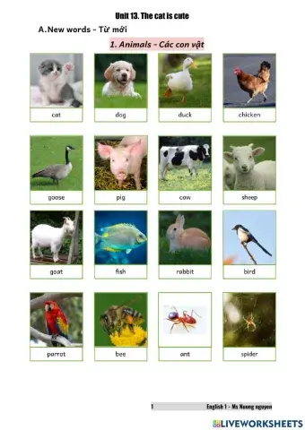 E1U13 The cat is cute -nuongnguyen