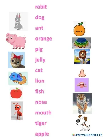 Nối chữ và hỉnh ảnh tiếng anh