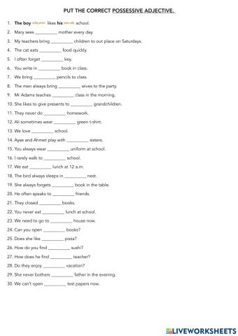 Possessive adjectives 2