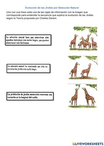 Las jirafas de Darwin