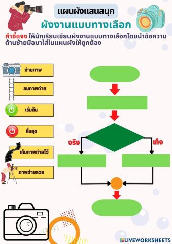 ผังงานแบบทางเลือก