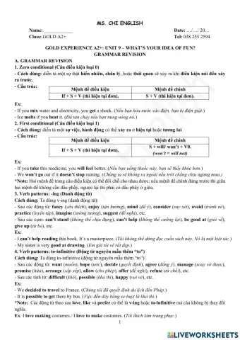 Viet Teacher-GOLDA2+-U9-GRAMMAR