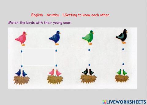 Match the birds with their young ones