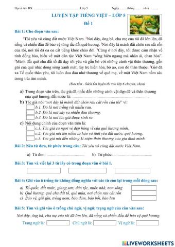 Luyện tiếng việt lớp 5 - đề 1