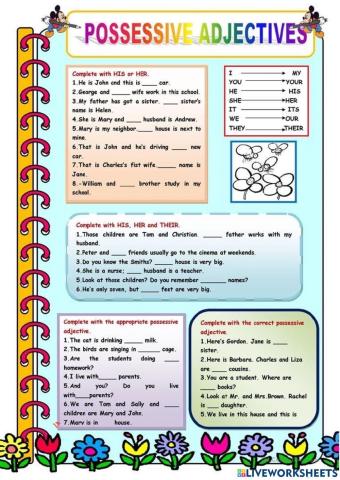 Possessive Adjective