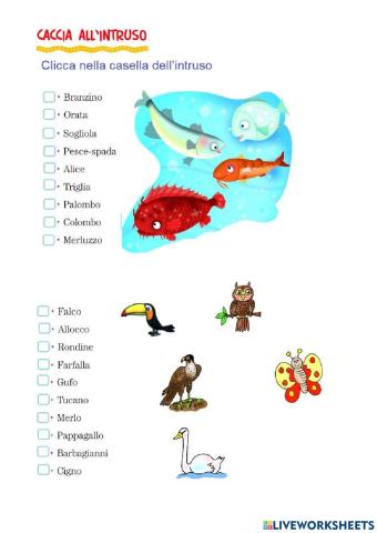 Scopri l'intruso