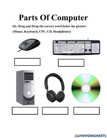 Parts of Computer