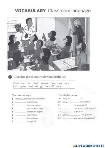 Classroom language