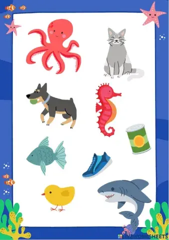Ocean animals