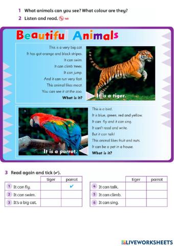 Ff Action boy can run