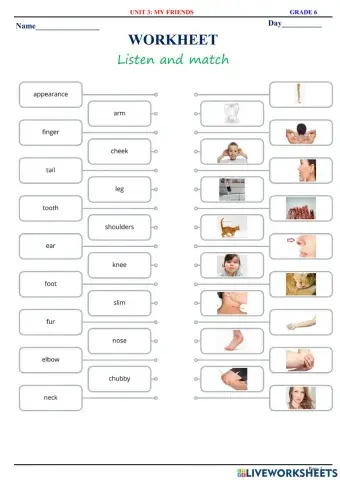 English 6 - Unit 3 - My Friends - Vocabulary - Matching