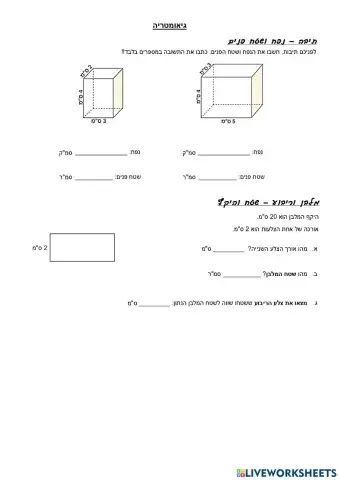 תיבה מלבן וריבוע - תרגילי חזרה