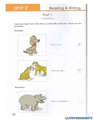 Starters reading - unit 2