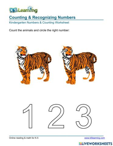 Counting & Recognizing Numbers