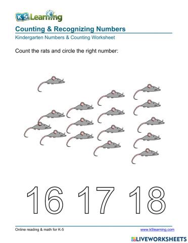 Counting & Recognizing Numbers