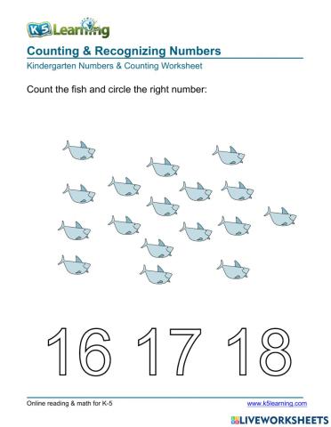 Counting & Recognizing Numbers