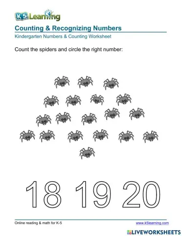 Counting & Recognizing Numbers