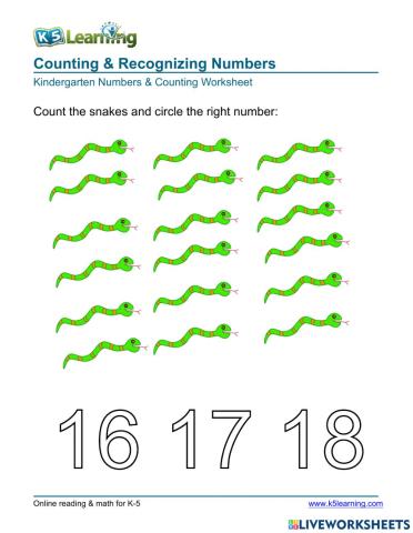 Counting & Recognizing Numbers