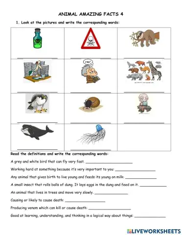 Amazing animal facts 4