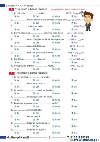 Les adjectifs démonstratifs page 9