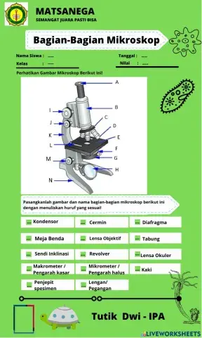 Bagian - bagian mikroskup