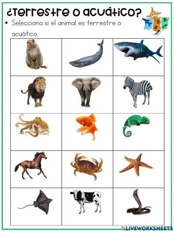 Clasificación de los seres vivos