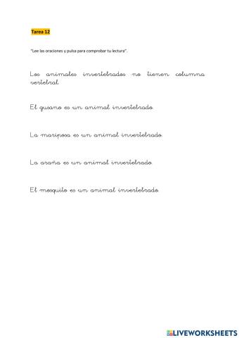 Tarea 12