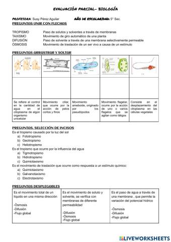 Relación de la célula