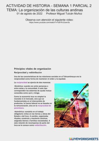 S1 La organización de las culturas andinas 3 bgu