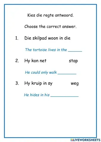 Kies die regte woord