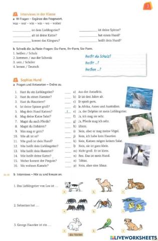 Die Tiere Prima plus