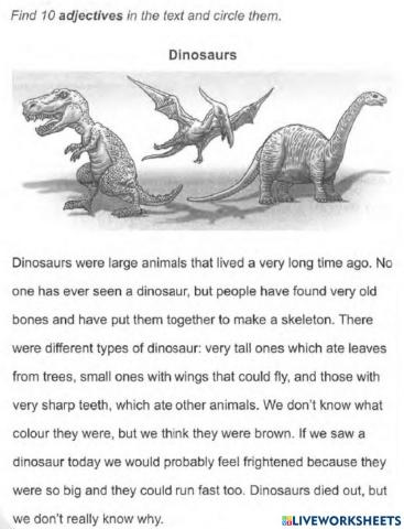 Adjectives of Quality, Quantity, Size and Colour