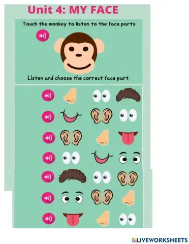 K 4 -Unit 4- my face