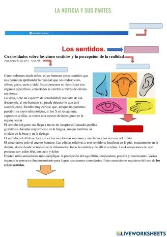 La noticia y sus partes.