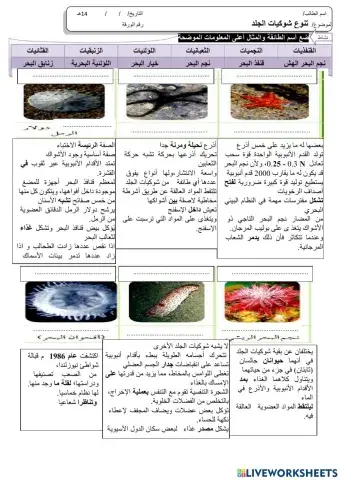 تنوع شوكيات الجلد