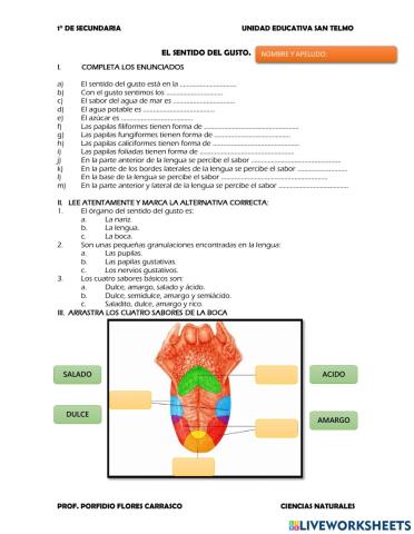 El sentido del gusto