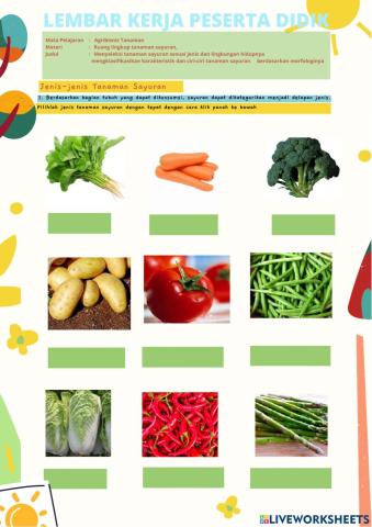 LKPD Identifikasi Tanaman Sayuran