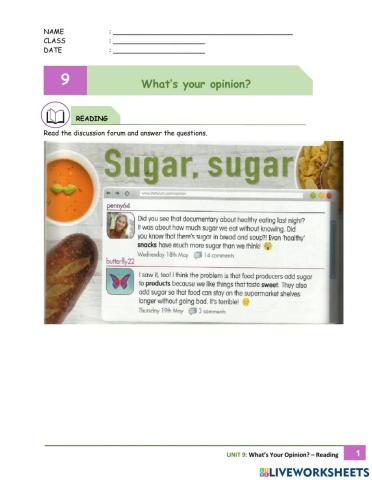 Unit 9 What's Your Opinion