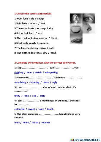 Vocabulary senses