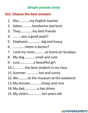 Simple present tense with tobe