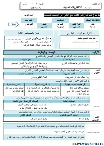 اللافقريات الحبلية