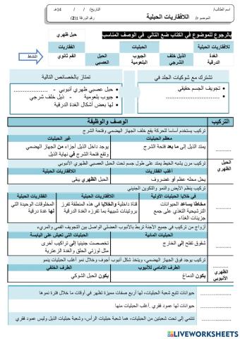 اللافقريات الحبلية