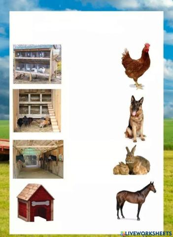 Unde locuiesc?(animale domestice)