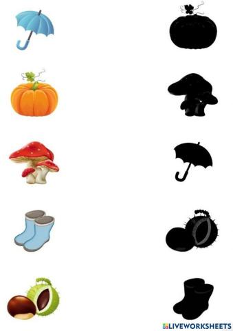 Toamna- Potrivește obictele cu umbra lor