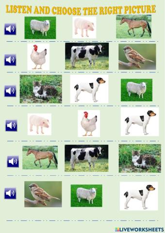 Listen and choose: farm animals