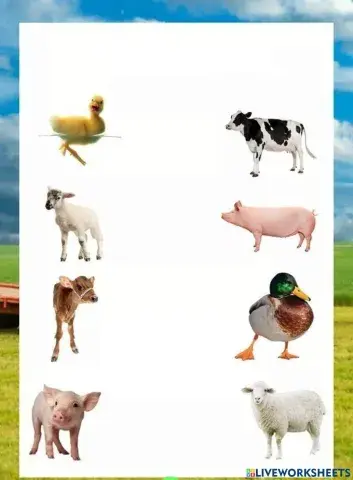 Animale domestice - Uneste puiul cu mama sa