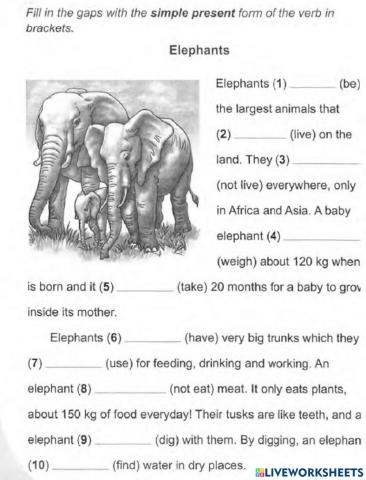 The  Simple  Present Tense