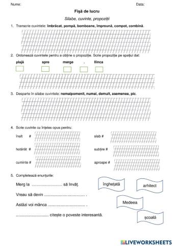 Fișă lucru - silabe, cuvinte, propoziții, cls I