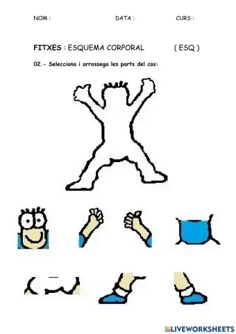 ESQ - Esquema corporal 02