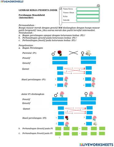 Persilangan Intermediaet